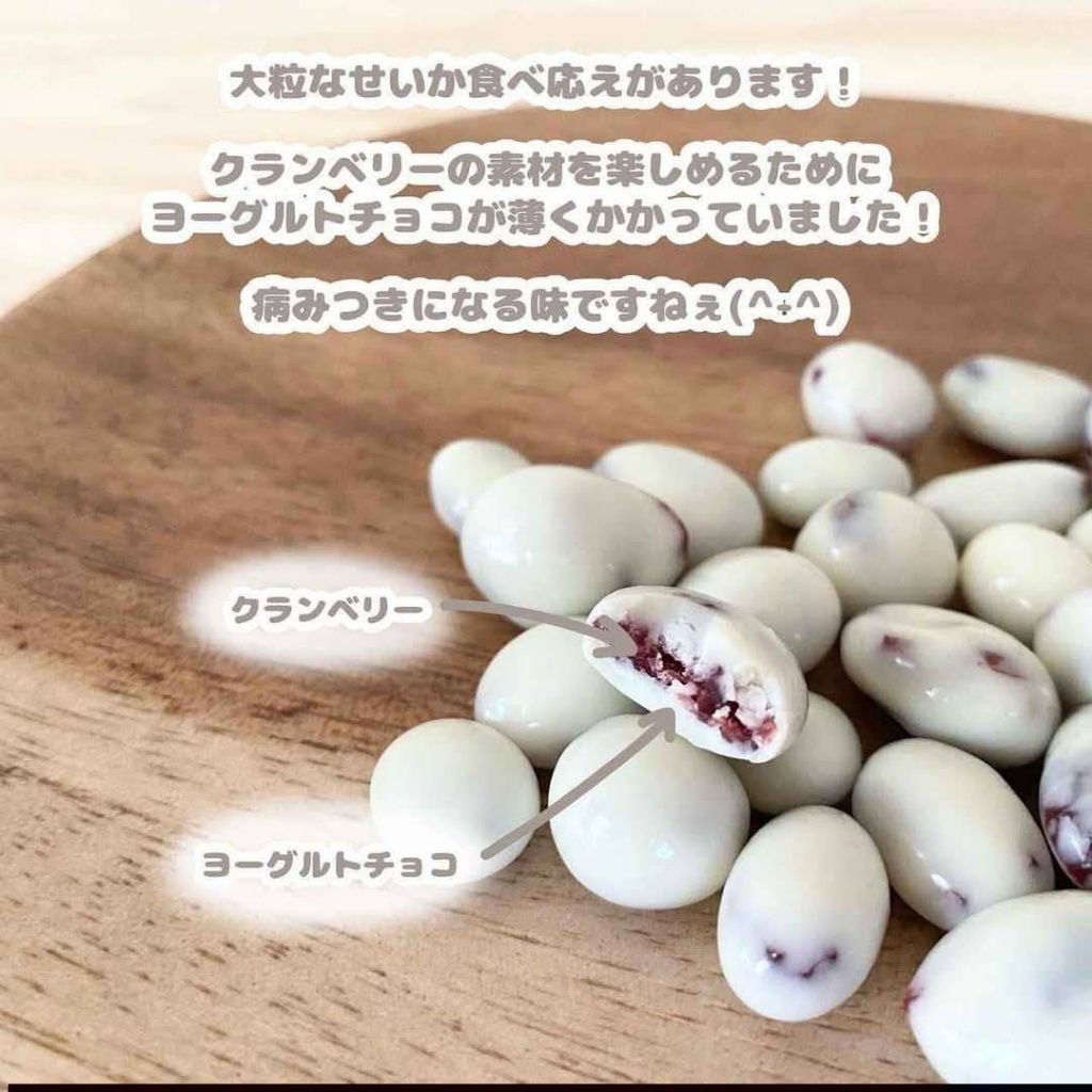 (預購)日本冬季限定 Yogurt Raisn 優格可可 35g 蔓越莓口味