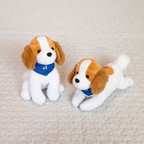 (預購) 日本直送 大谷翔平愛犬 Decoy 吊飾(兩款隨機出貨)