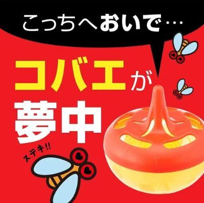 (預購)日本升級版果蠅捕捉盒（一盒2入）