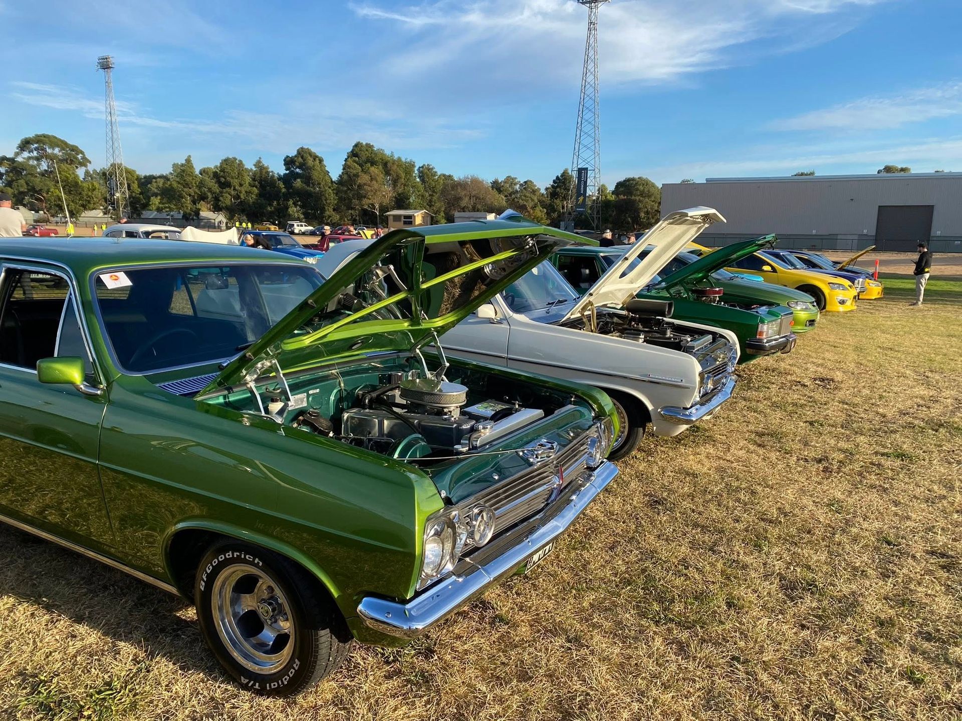cars parked in a line with bonnet up 