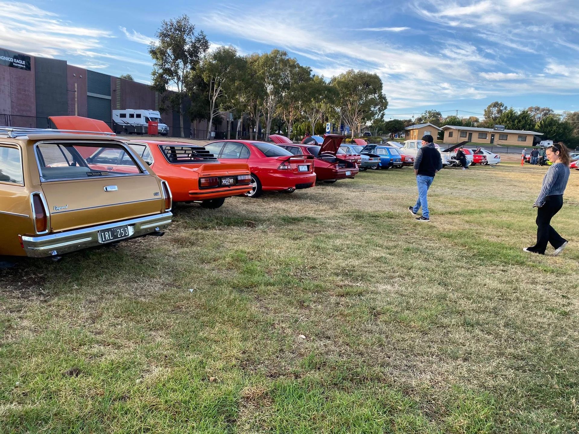cars parked in a line on grass