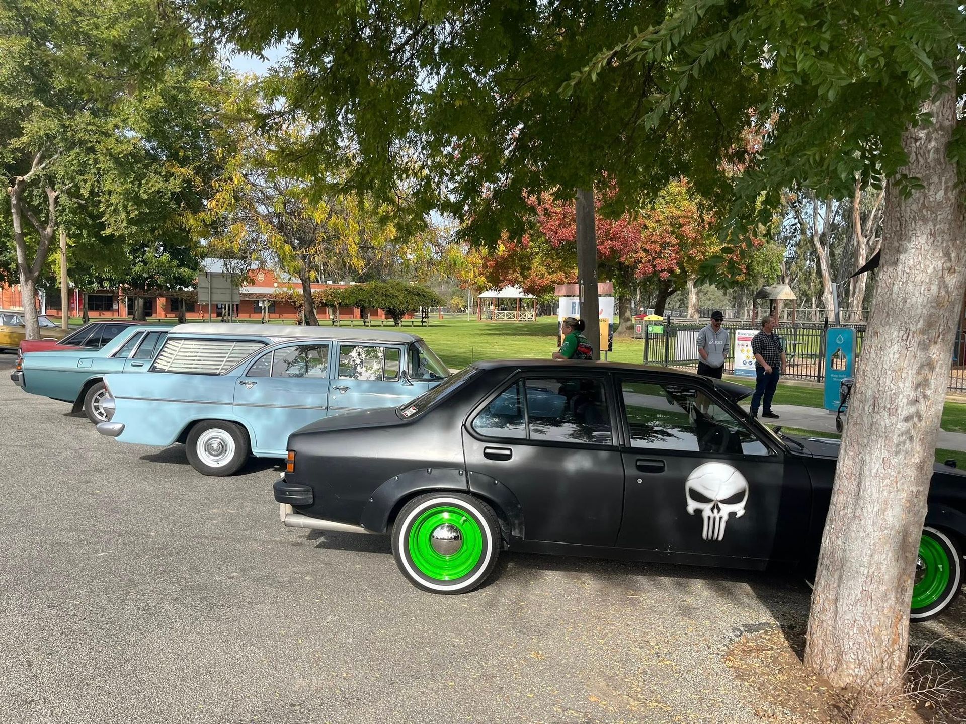 cars parked under a tree