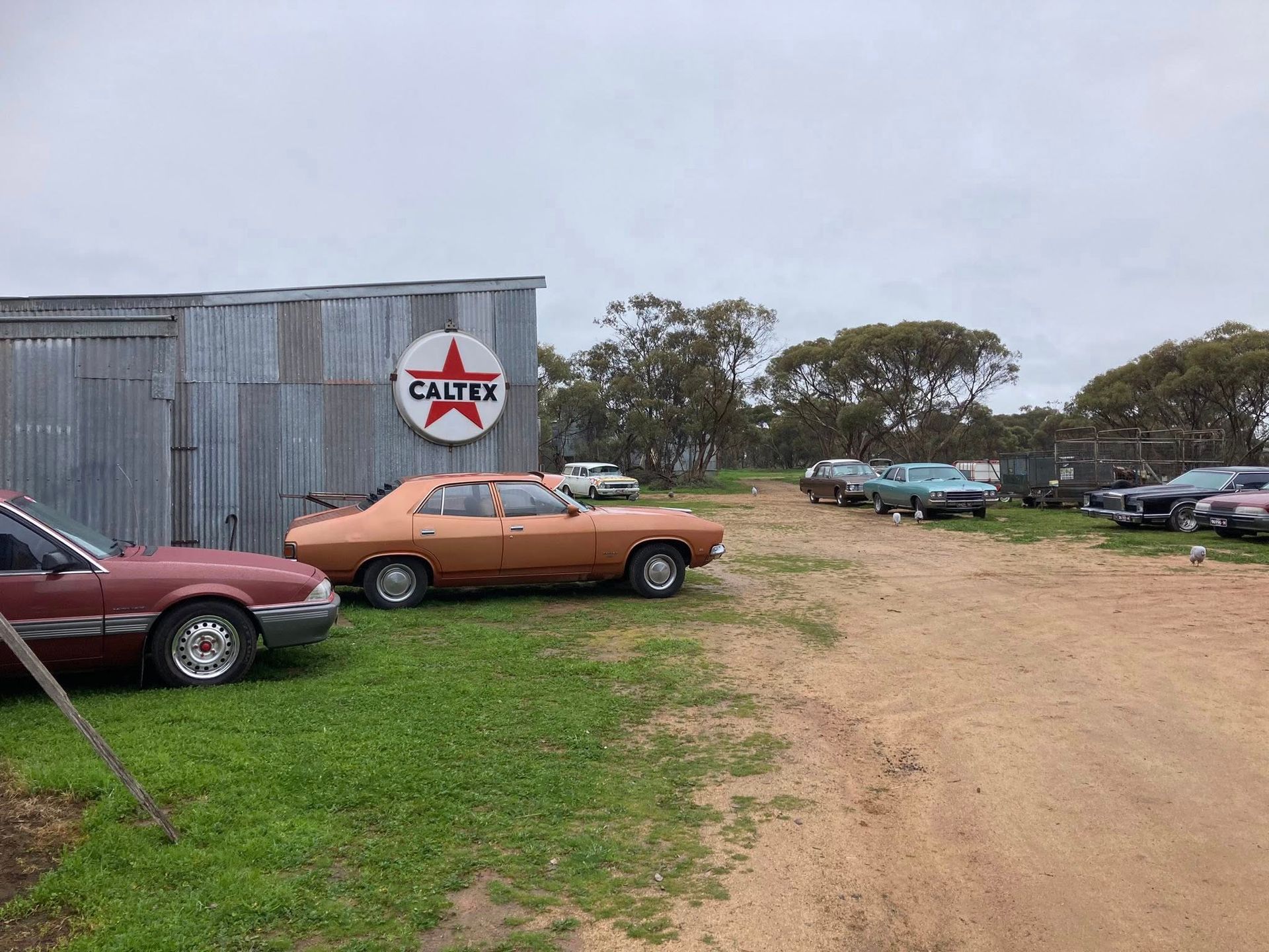 7 cars parked on a farm 