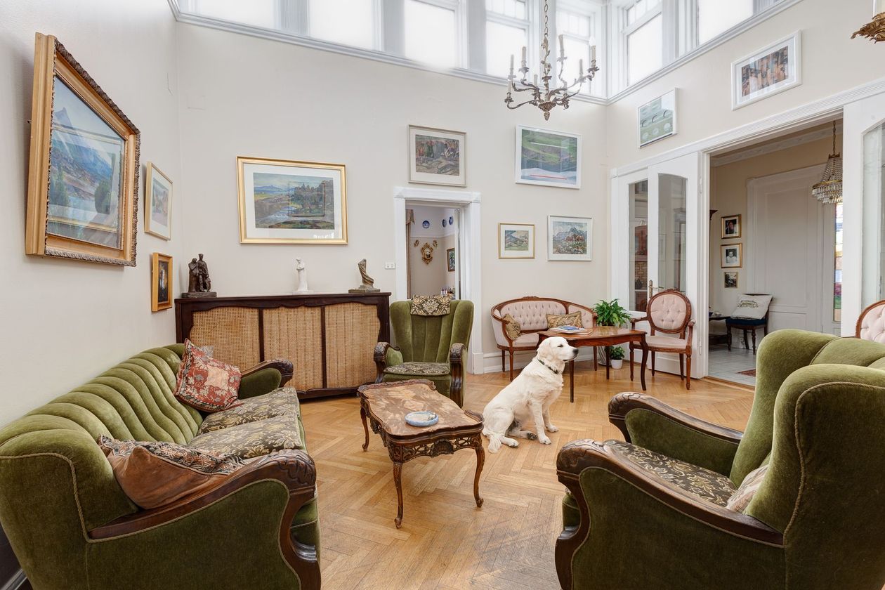 A brightly lit living room with two green velvet sofas, a wooden coffee table, and a dog sitting on a parquet floor.