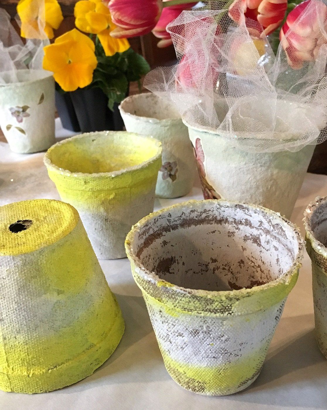 Join us on March 20 and learn to make Peat Pot Gift Cups, perfect for your table or to give!