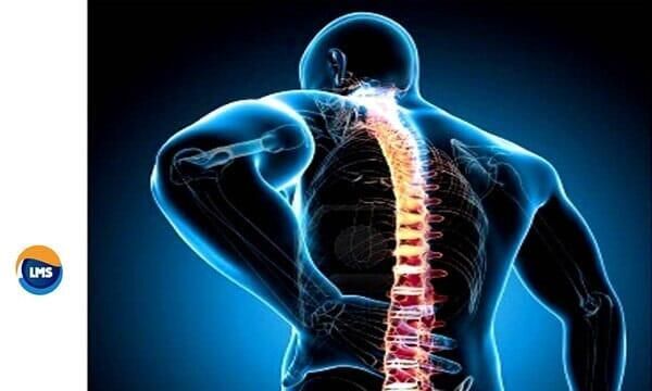  DR. JOSE LUIS PISANO