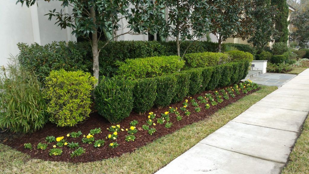 Landscapers near me