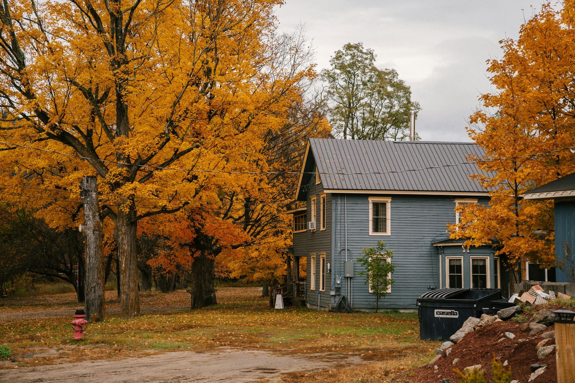 Fall clean up