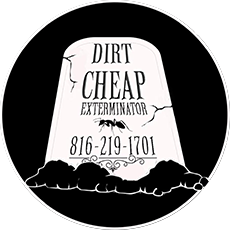 Dirt Cheap Exterminators