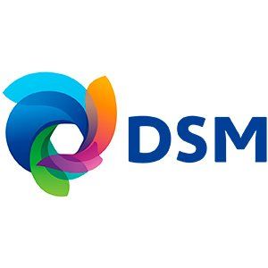 Um logotipo colorido para uma empresa chamada dsm