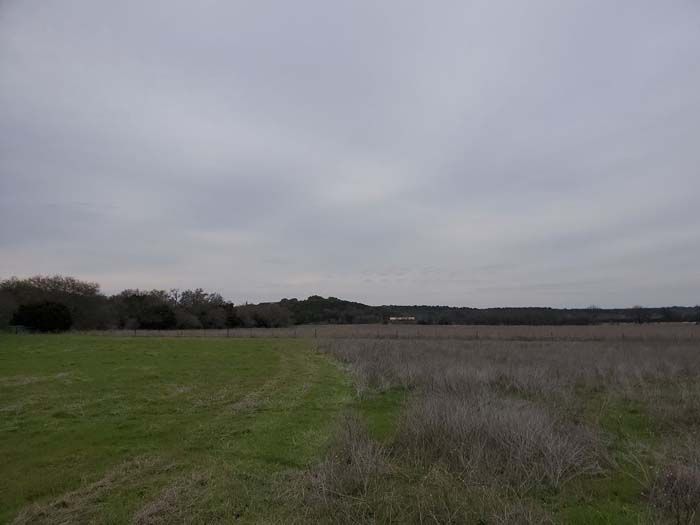 A large grassy field with trees in the background and a cloudy sky.