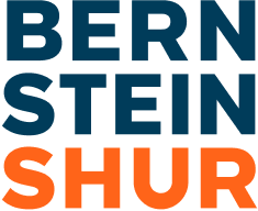 A blue and orange logo for bern stein shur