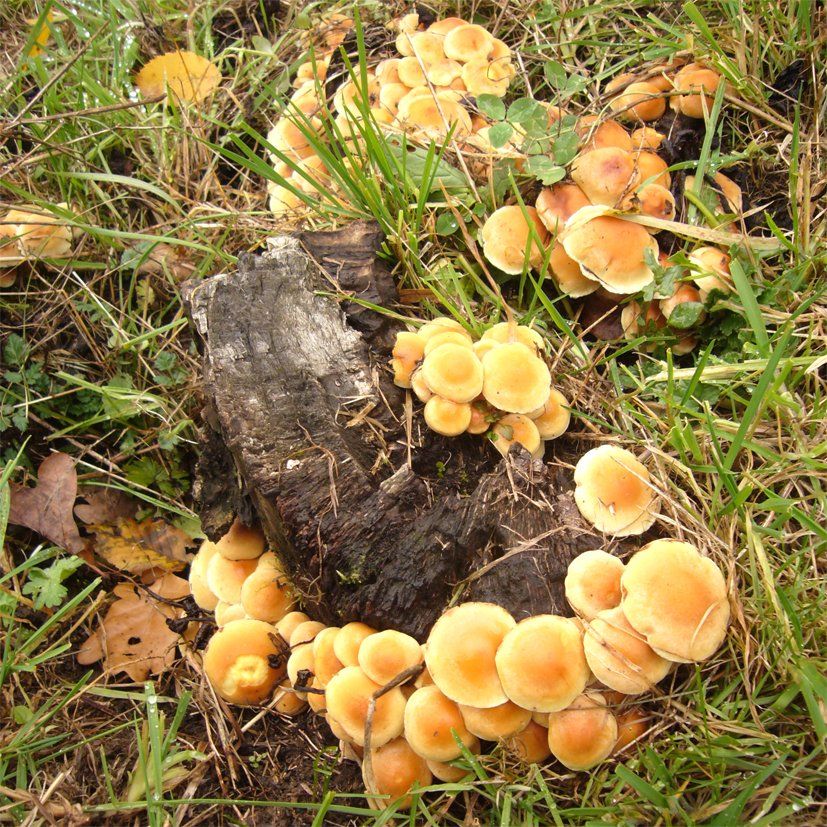 Fotografie der Künstlerin Benita von Wendt. Titel: