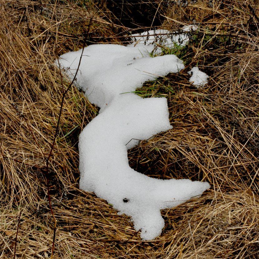 Fotografie der Künstlerin Benita von Wendt. Titel: Buchstabe