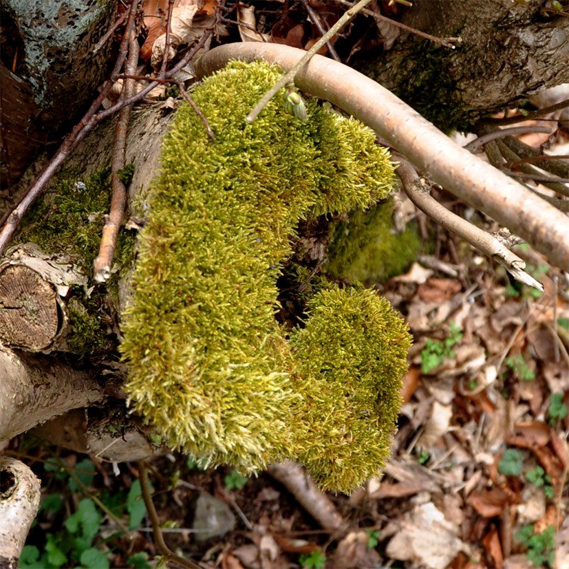 Fotografie der Künstlerin Benita von Wendt. Titel: Buchstabe