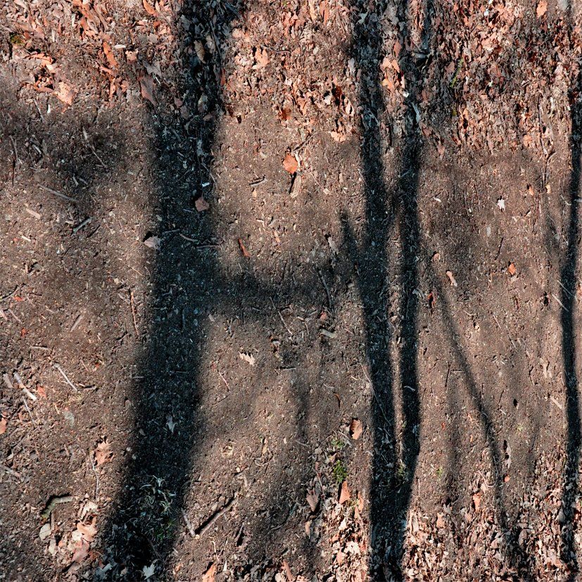 Fotografie der Künstlerin Benita von Wendt. Titel: Buchstabe