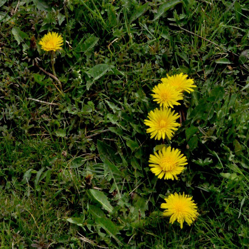 Fotografie der Künstlerin Benita von Wendt. Titel: Buchstabe