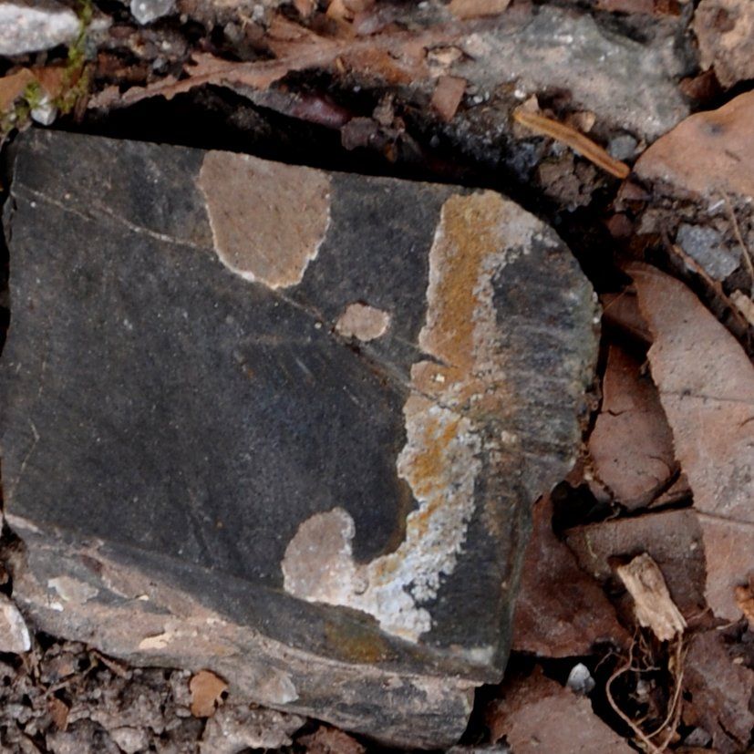 Fotografie der Künstlerin Benita von Wendt. Titel: Buchstabe