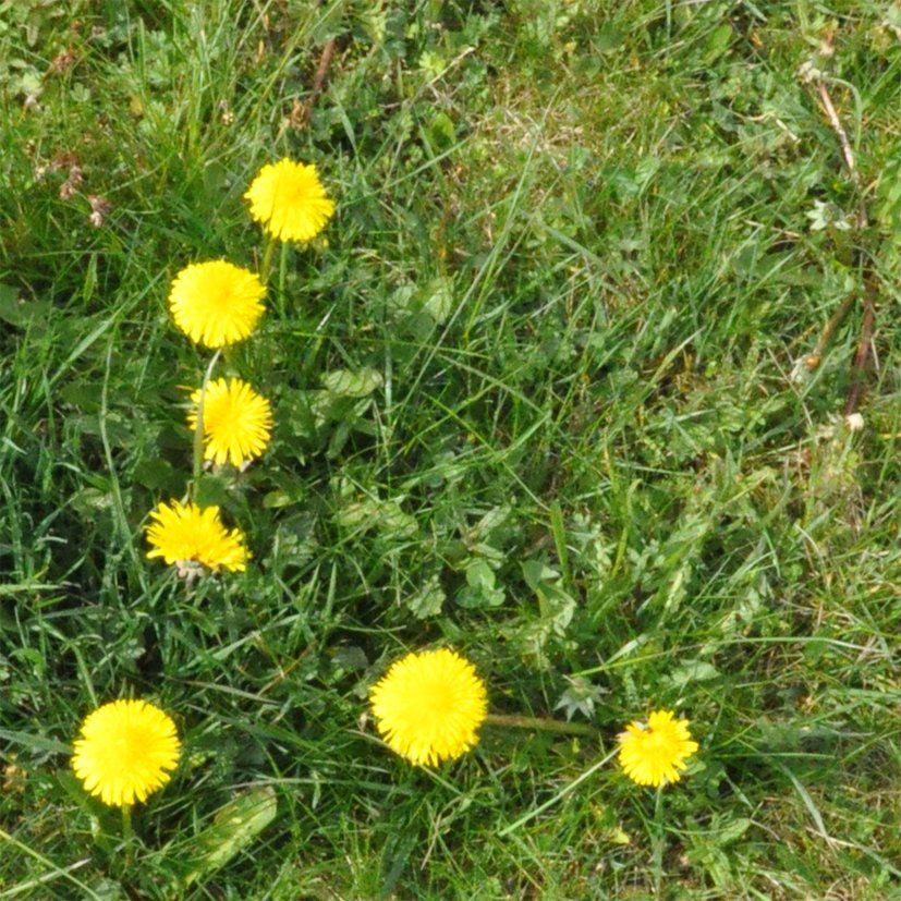 Fotografie der Künstlerin Benita von Wendt. Titel: Buchstabe