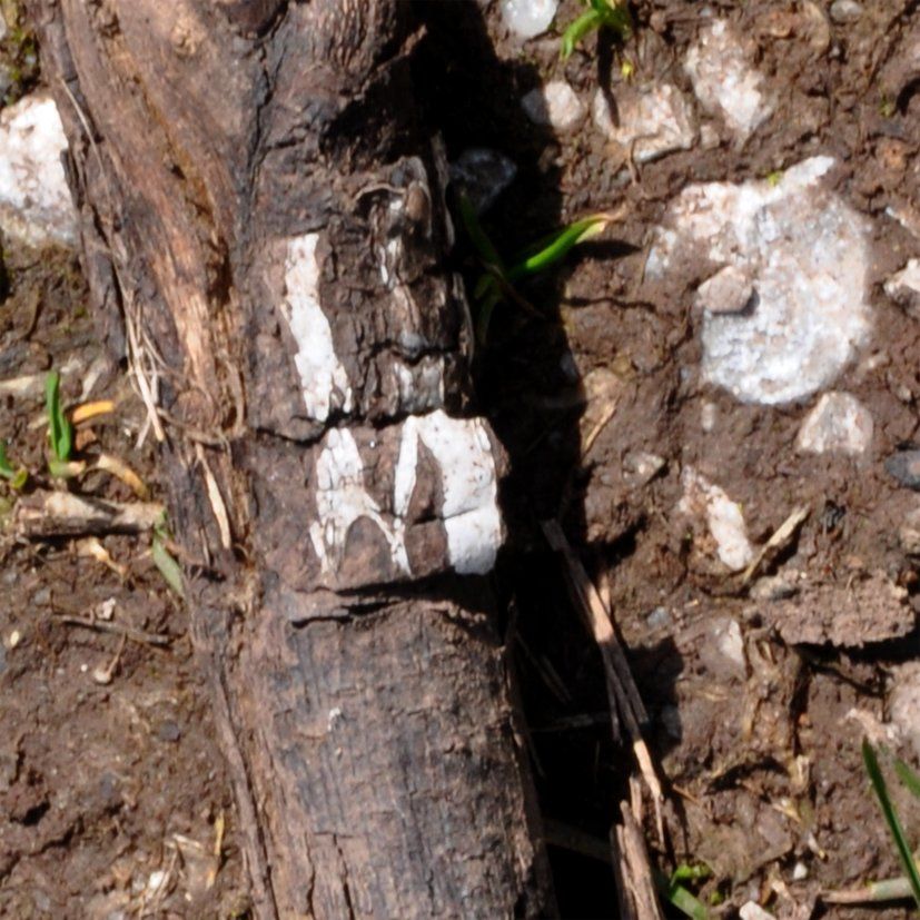 Fotografie der Künstlerin Benita von Wendt. Titel: Buchstabe