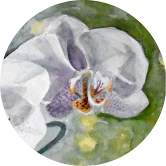 Aquarell einer Orchideenblüte
