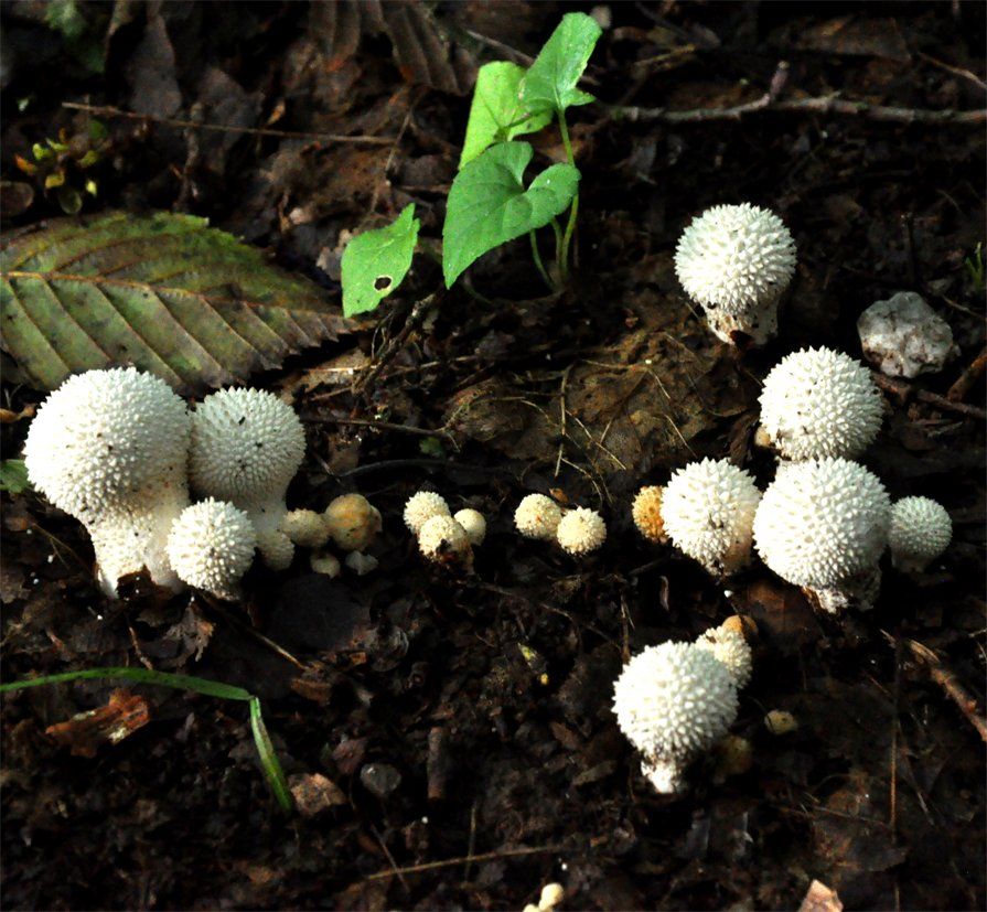 Fotografie der Künstlerin Benita von Wendt. Titel: