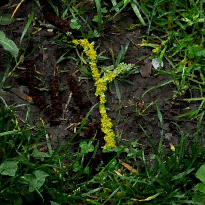 Fotografie der Künstlerin Benita von Wendt. Titel: Buchstabe