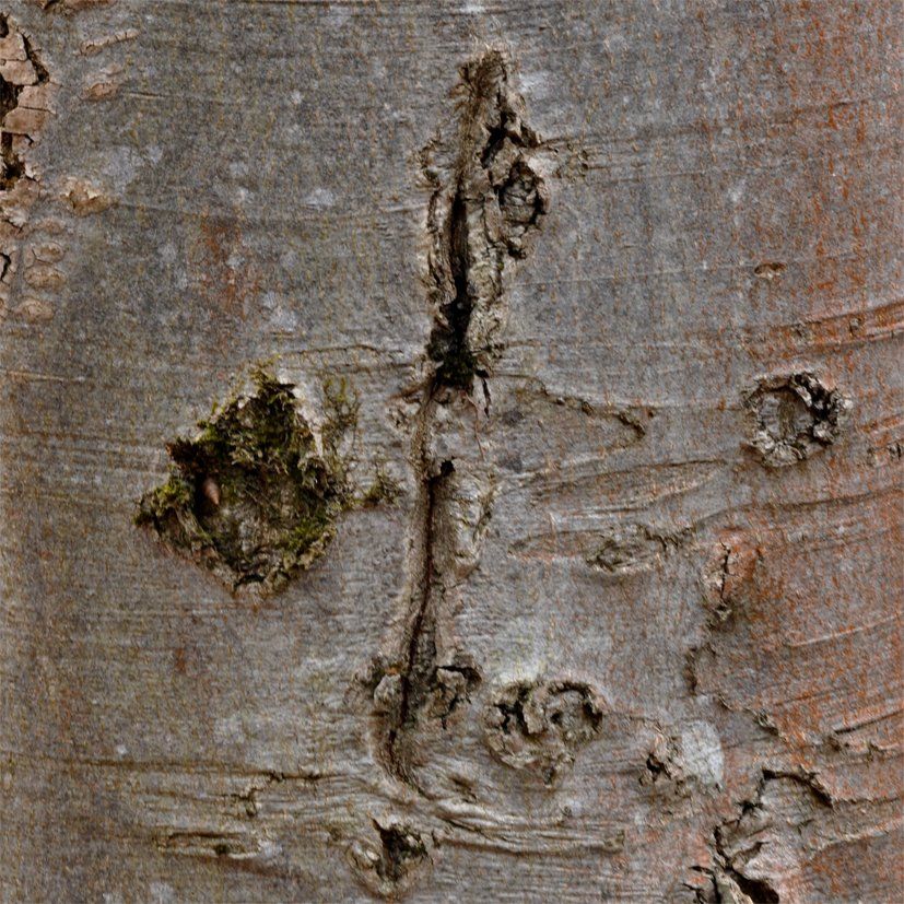 Fotografie der Künstlerin Benita von Wendt. Titel: Buchstabe