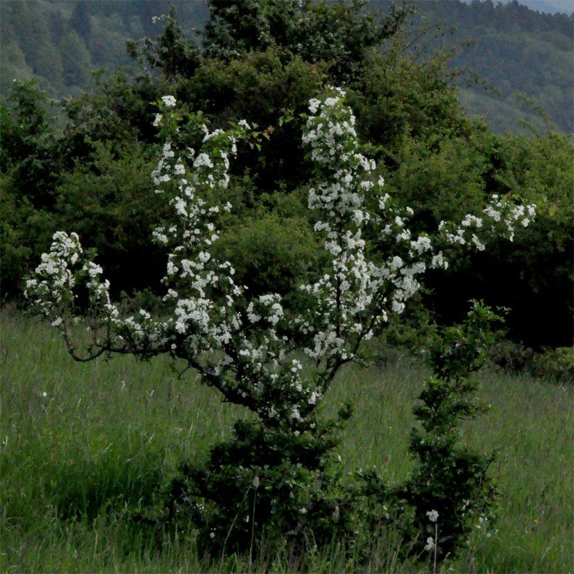 Fotografie der Künstlerin Benita von Wendt. Titel: Buchstabe