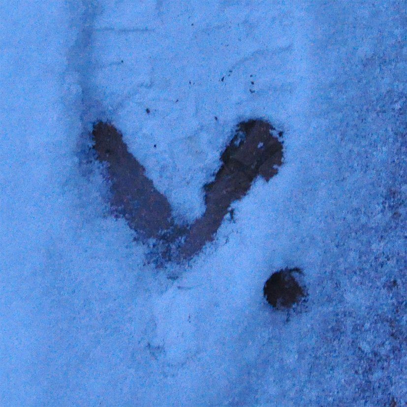 Fotografie der Künstlerin Benita von Wendt. Titel: Buchstabe