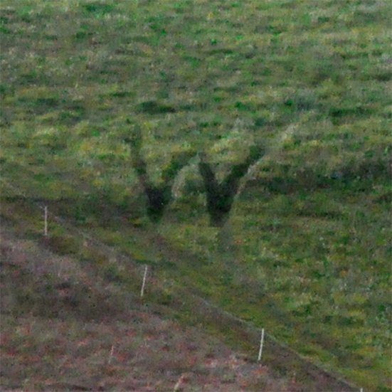Fotografie der Künstlerin Benita von Wendt. Titel: Buchstabe