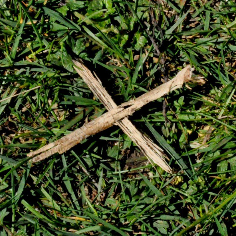 Fotografie der Künstlerin Benita von Wendt. Titel: Buchstabe