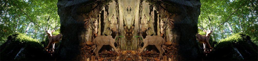 Fotomontage der Künstlerin Benita von Wendt. Titel: Krippe. Die Fotografie zeigt 2 identische Bambifiguren, die vor einem Baumstamm im Wald in Szene gesetzt sind.