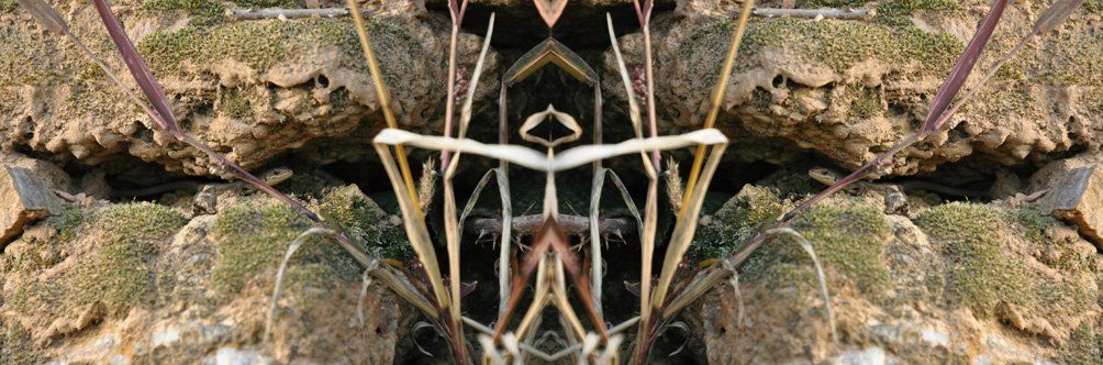 Fotografie der Künstlerin Benita von Wendt. Titel: Lezards. Die Fotografie besteht aus einer Fotomontage, durch Spiegelungen entsteht ein neues Bild, erst bei genauerer Betrachtung sieht man, dass es aus Steinen, Grashalmen unter denen sich Eidechsen verstecken besteht.