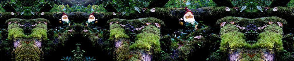 Fotomontage der Künstlerin Benita von Wendt. Titel: Wache. Die Fotografie zeigt 3 identische Gartenzwerge, die auf einem kleinen Stück an einem Hang im Wald in Szene gesetzt sind.