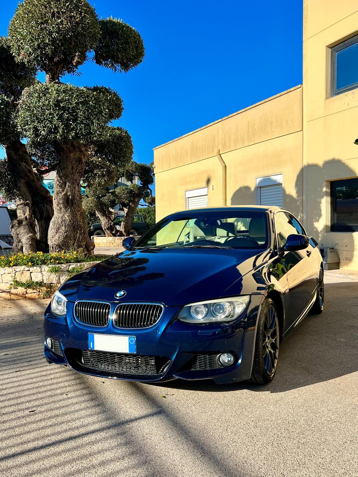 Una BMW coupé blu parcheggiata davanti a un edificio e a un albero, sotto un cielo limpido.