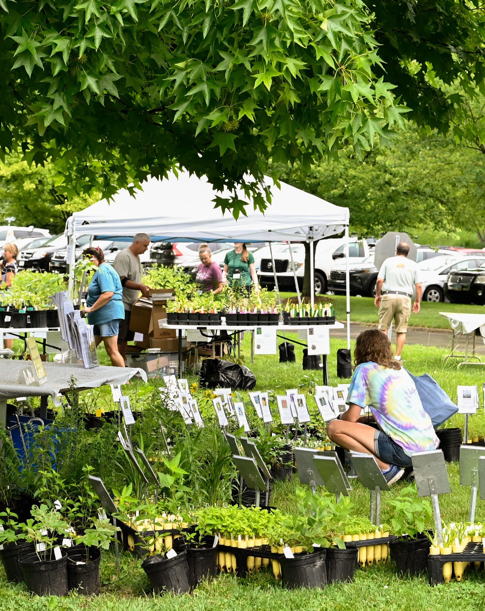 native plant sale