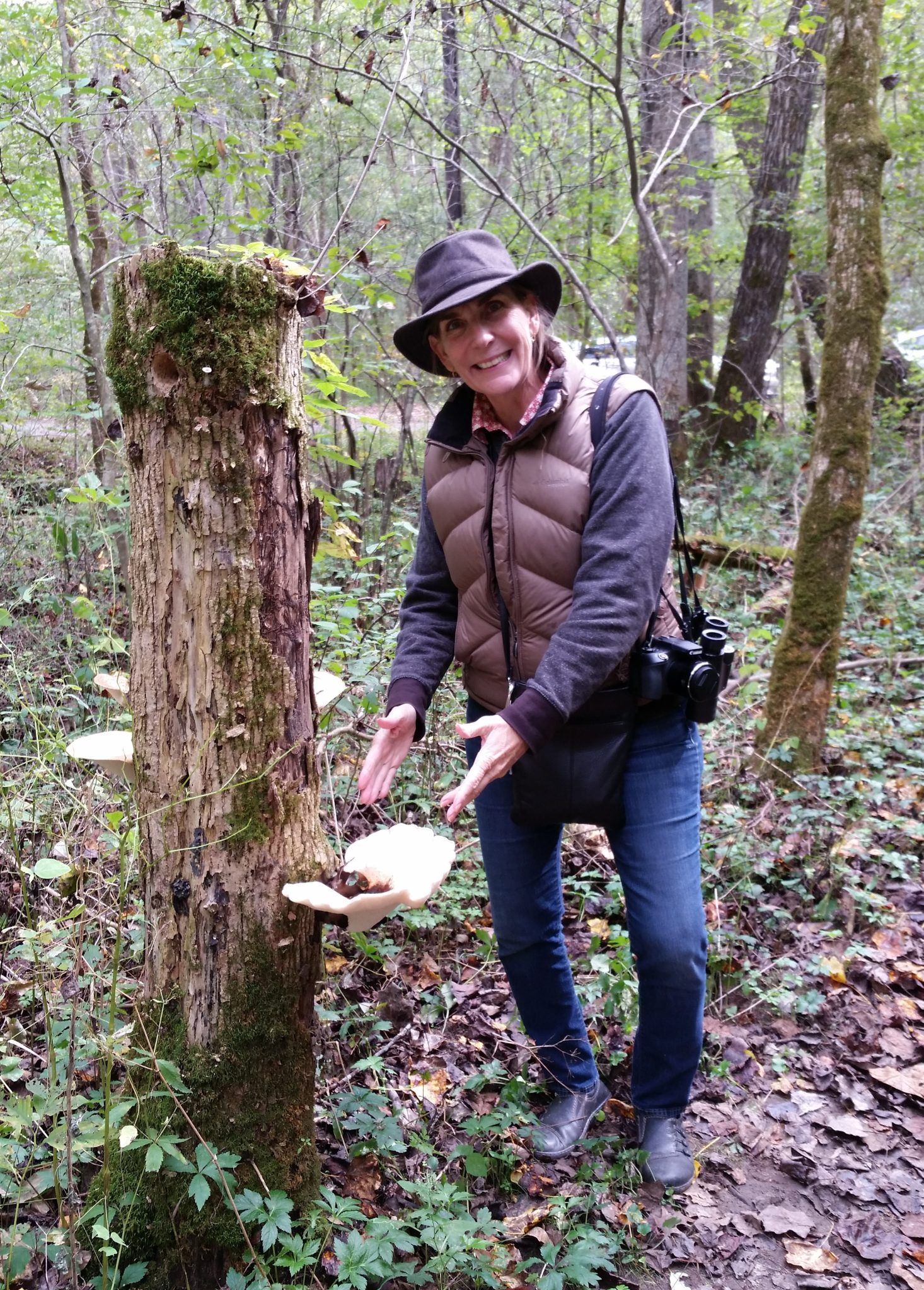 Cheryl b Harner in the woods