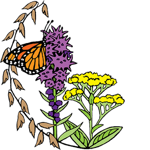 midwest plant society logo without words