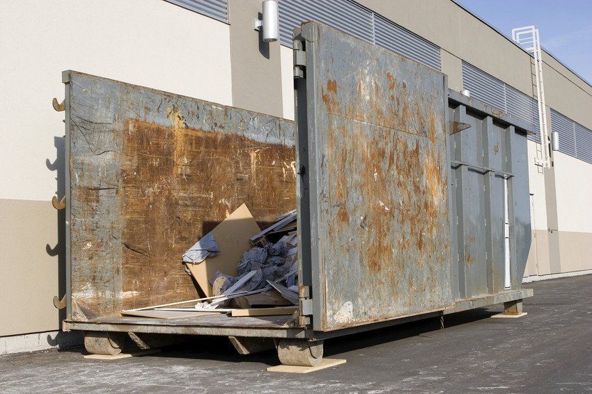 Yellow Skip