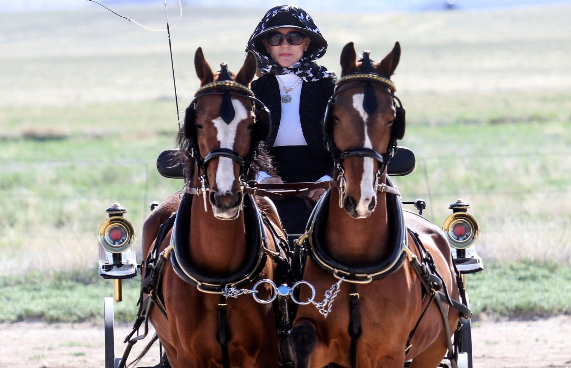 photo of woman driving Hackney Horse in competition