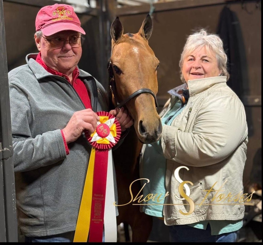 photo of man driving Hackney Pony at a horse show