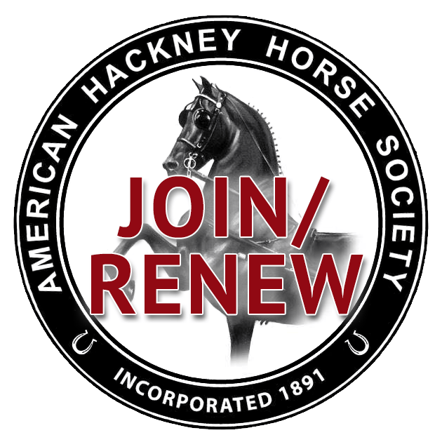American Hackney Horse Society - Home