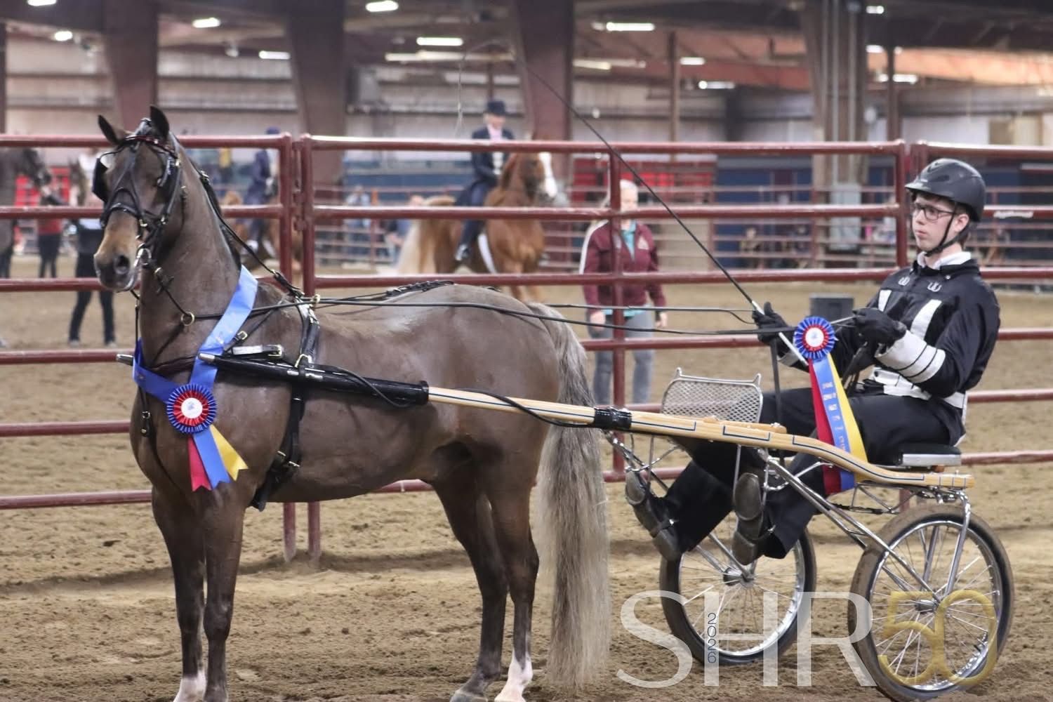 photo of boy driving Hackney Roadster Pony at Royal Winter Fair Horse Show