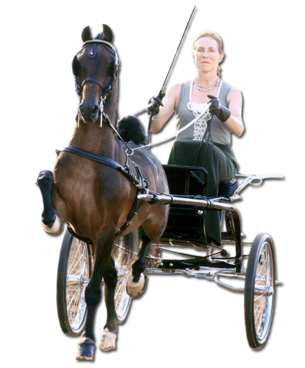 photo of woman driving Hackney Pony