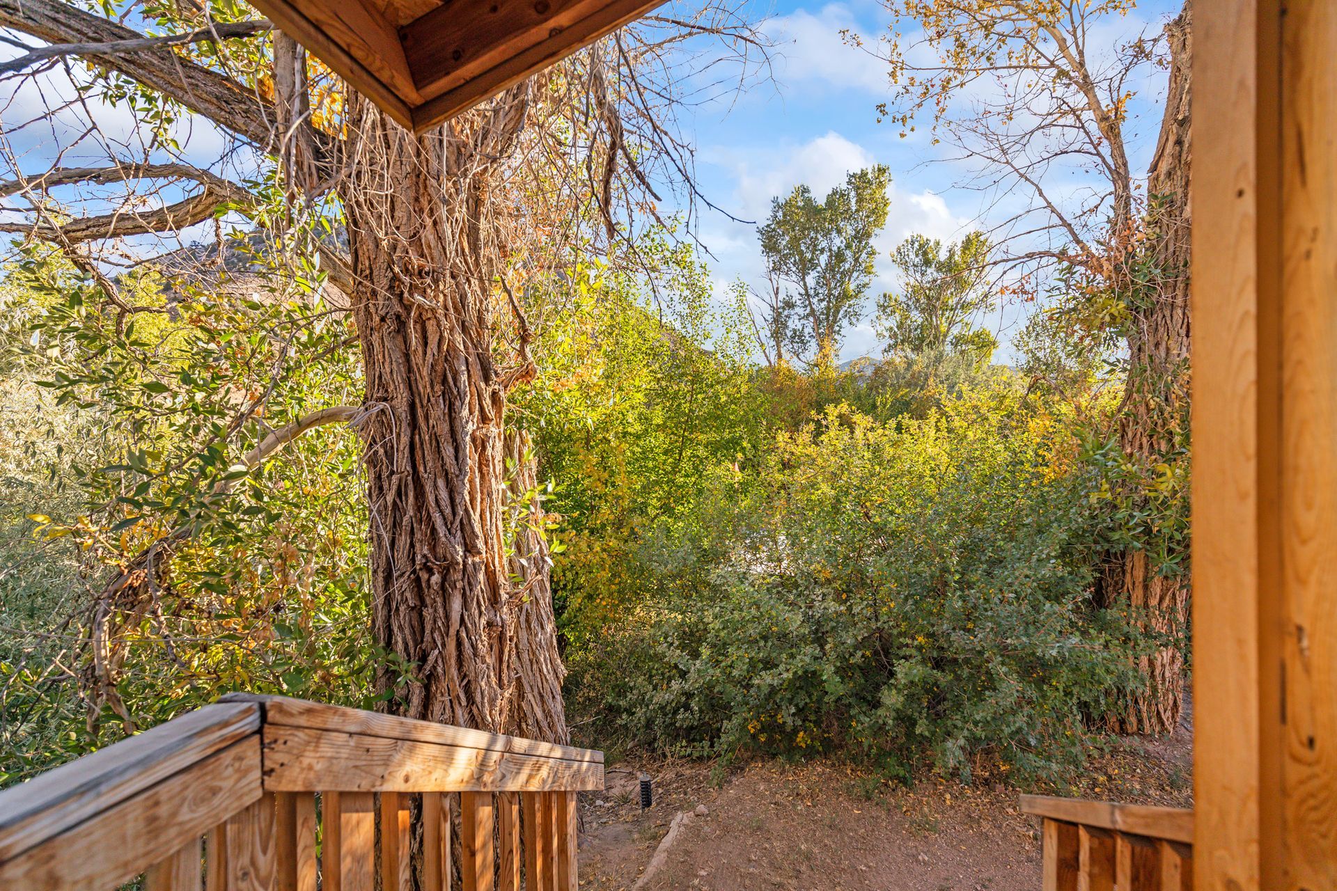 View from a wooden porch, looking out at trees and greenery under a blue and cloudy sky.