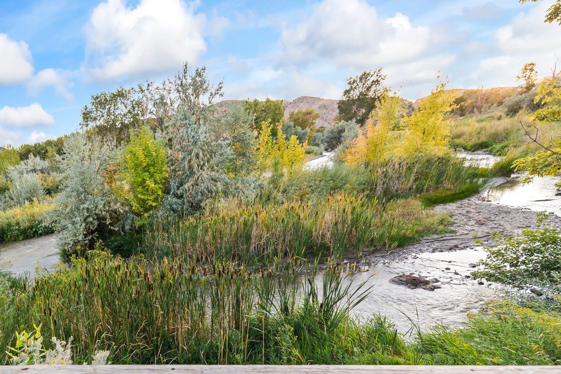 A shallow, clear creek flows through lush greenery under a partly cloudy blue sky.