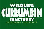 currumbin wildlife