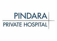 pindara logo