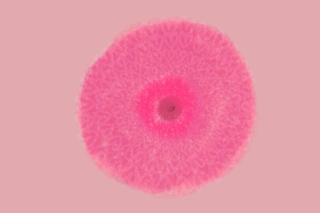 What is Nipple Pain?